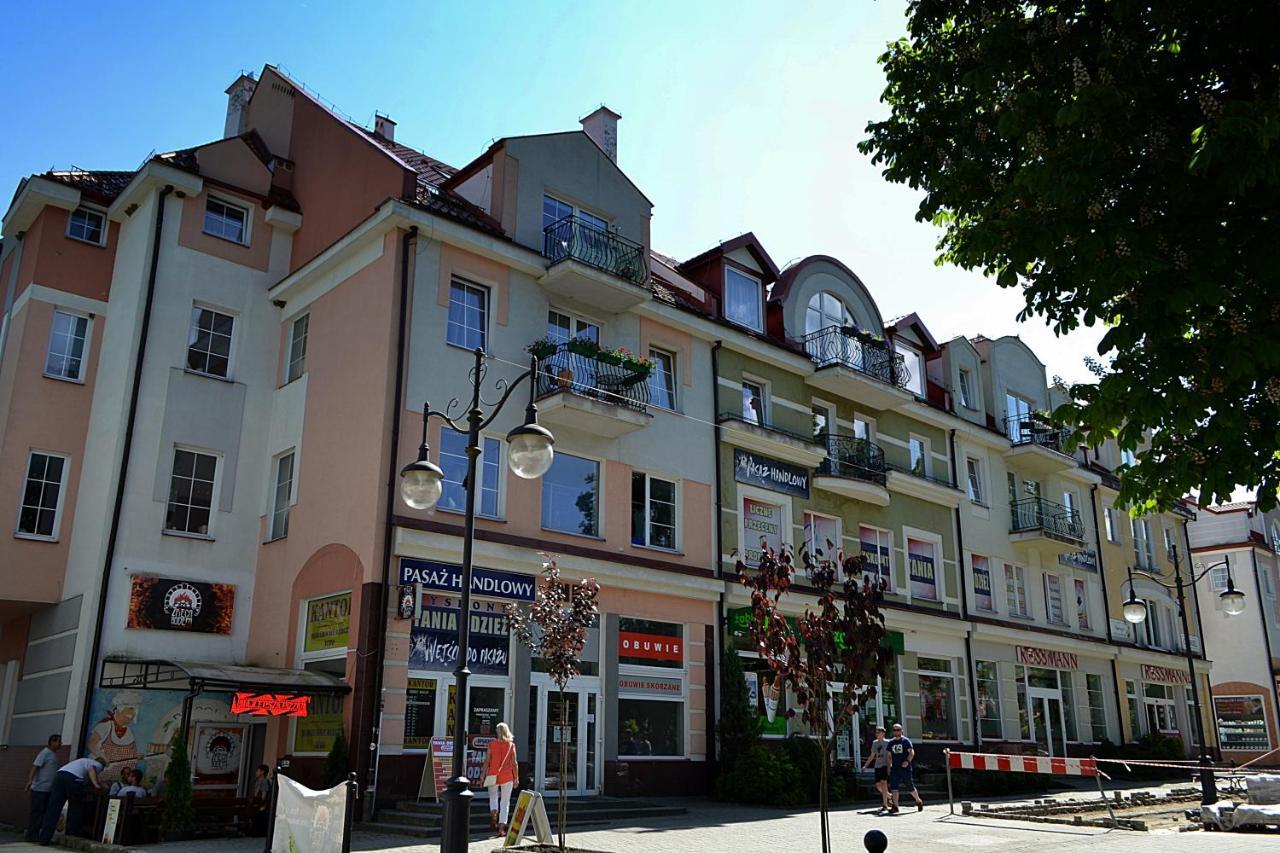 Apartament Usmiech Ustrzyki Dolne Dış mekan fotoğraf